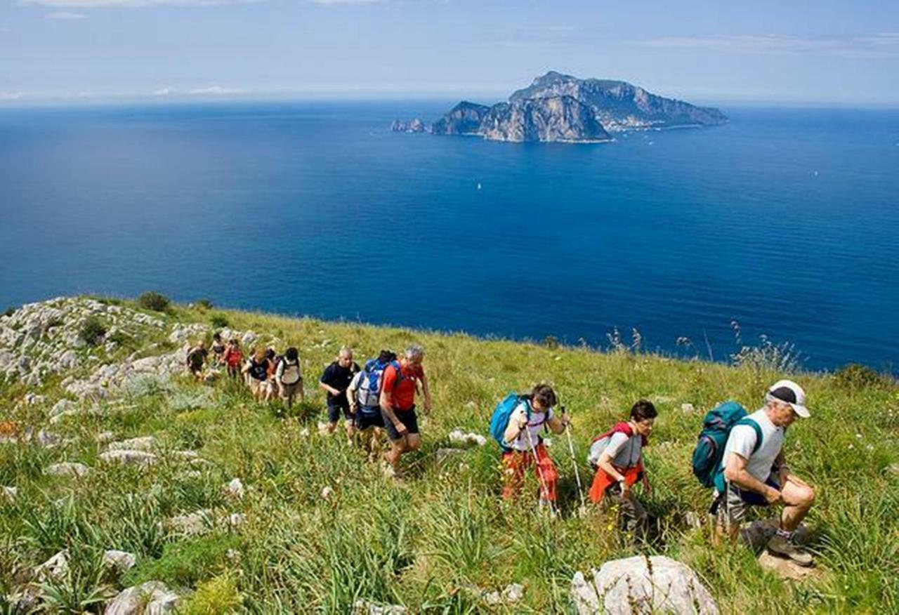 Villa La zagara bianca Massa Lubrense Esterno foto