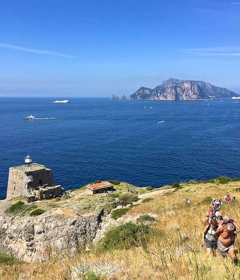 Villa La zagara bianca Massa Lubrense Esterno foto